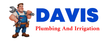 Trusted plumber in TRUMANN